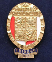 Odznak gold tone ražený 1100